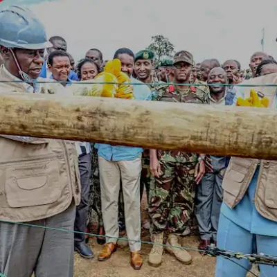 William Ruto Says Kenyans Killed by Elephants to Get KSh 5m: “Tumebadilisha Sheria”